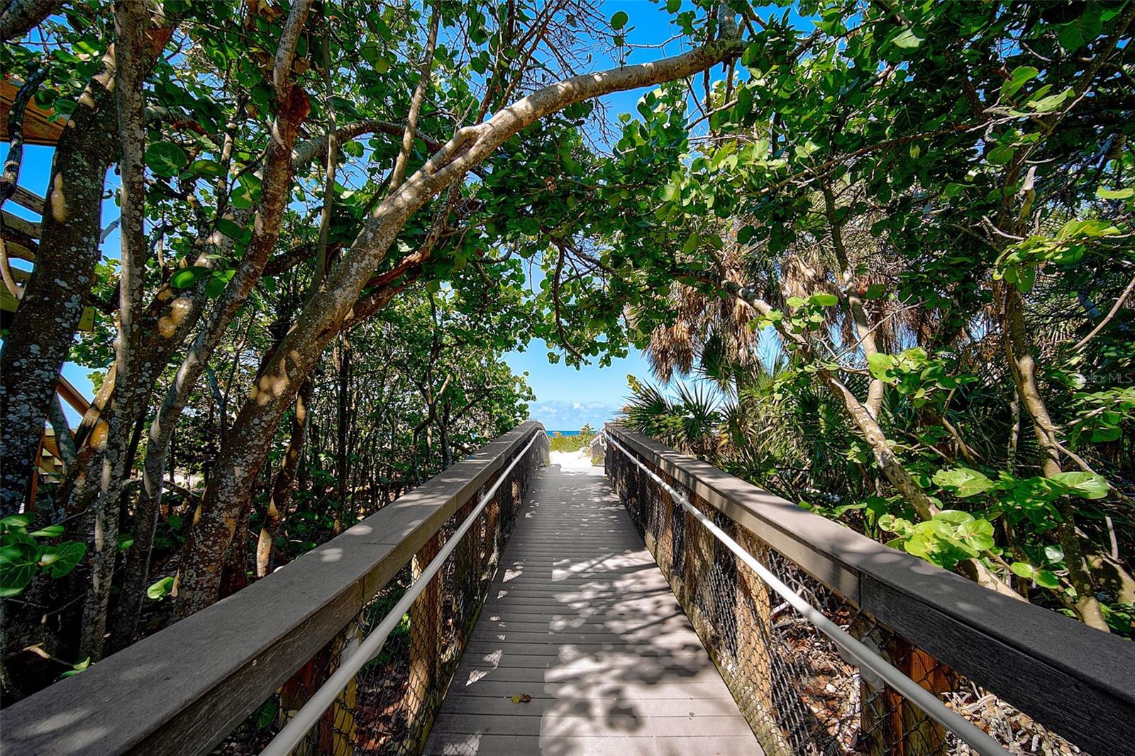 SOUTH VENEZIA PARK - Residential