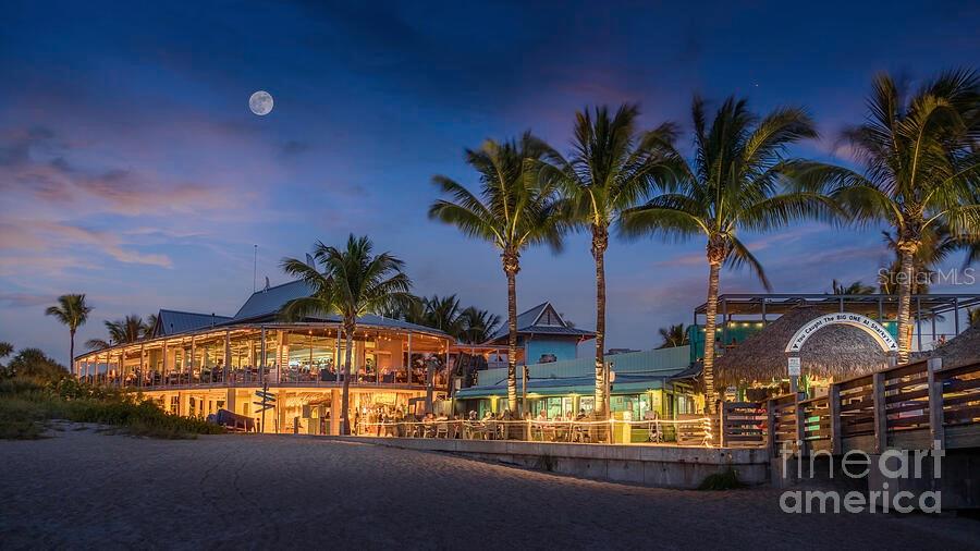 SOUTH VENEZIA PARK - Residential