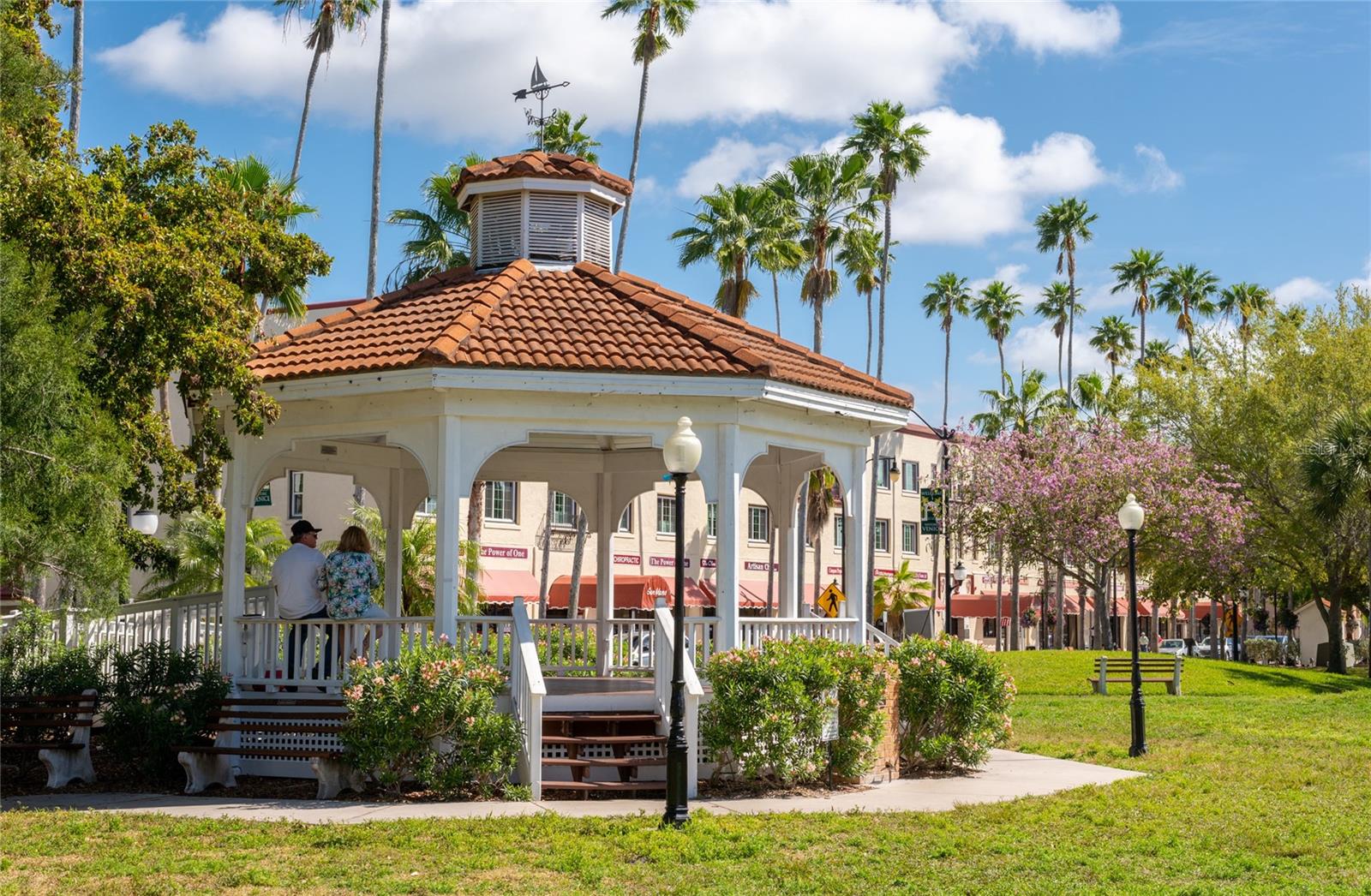 SOUTH VENEZIA PARK - Residential