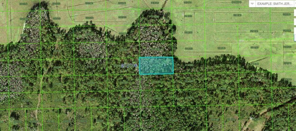 Photo of Commonwealth Avenue N, Polk City, FL 33868 (MLS # O6227324)