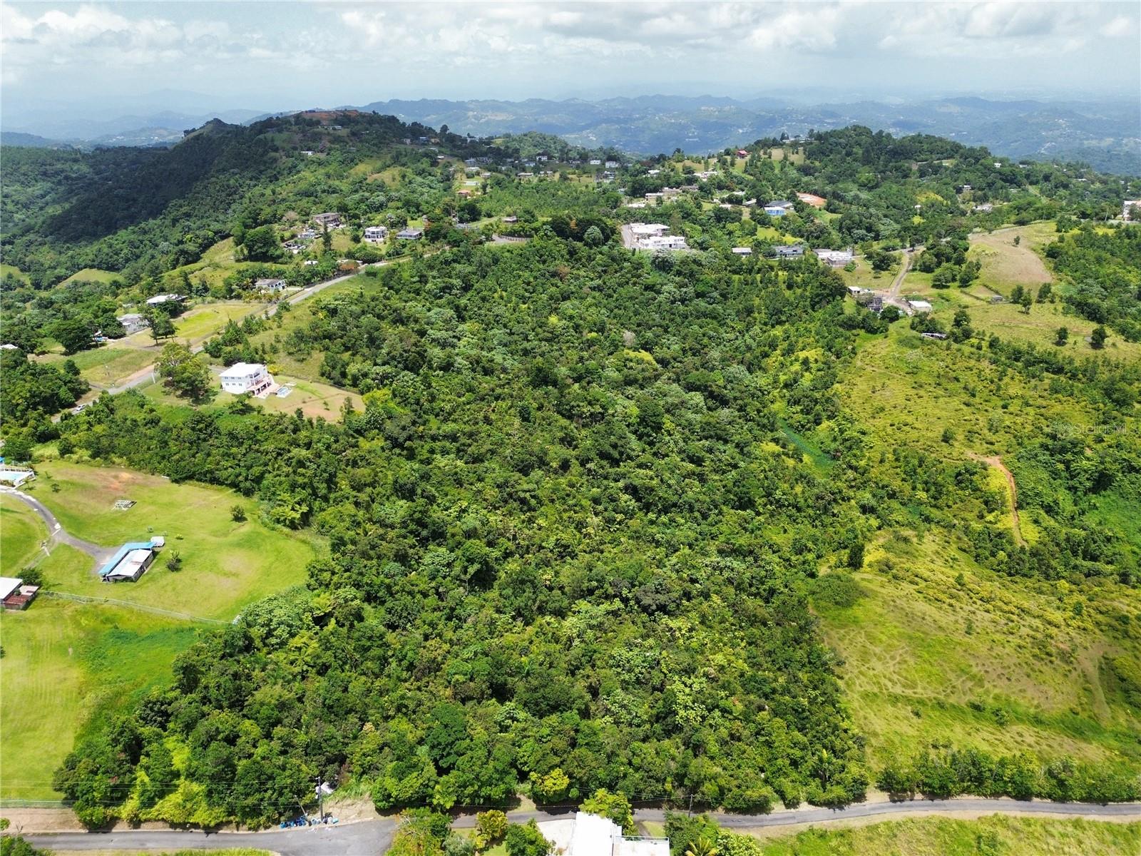 957 CIENAGA ALTA