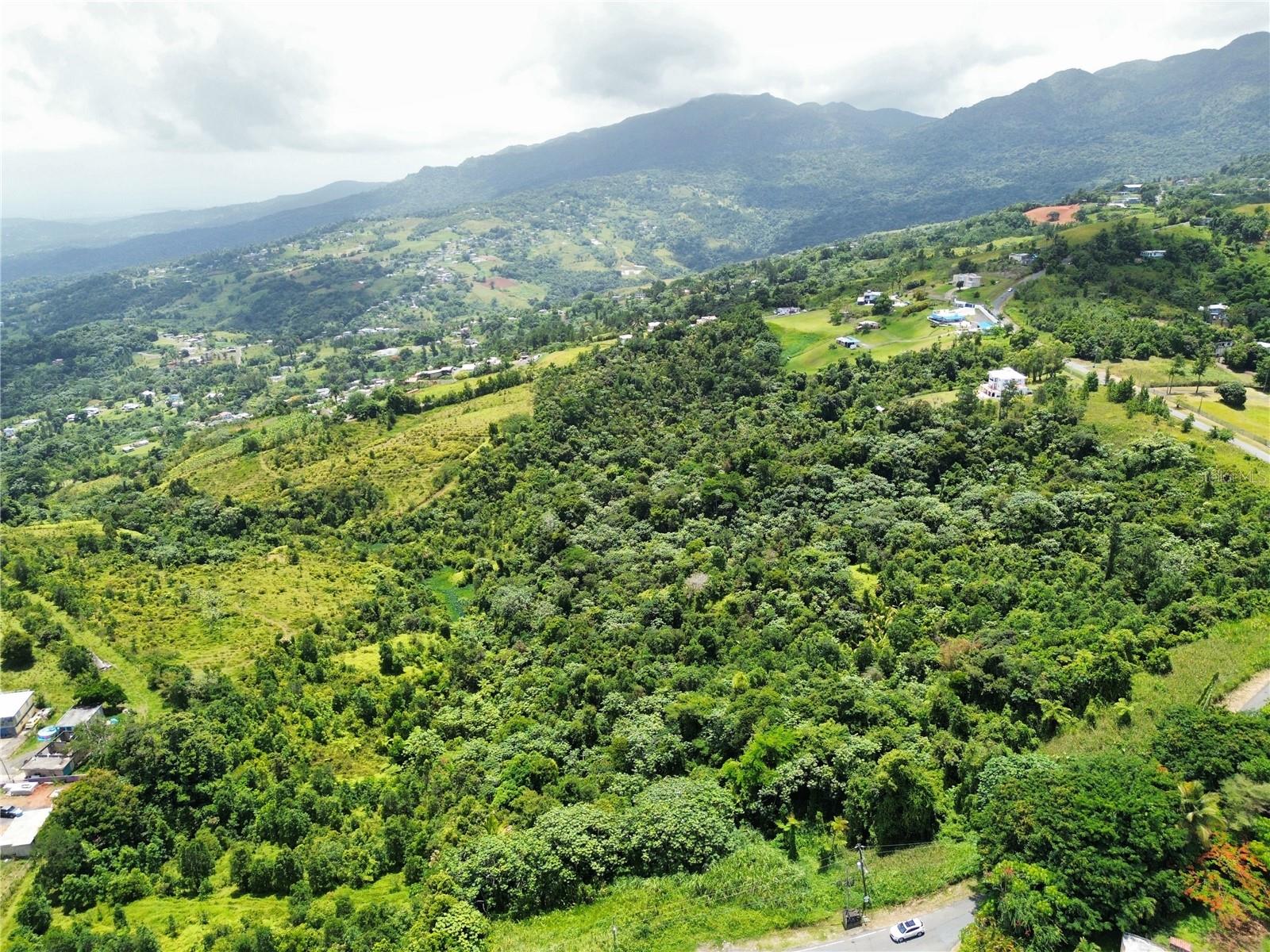 957 CIENAGA ALTA