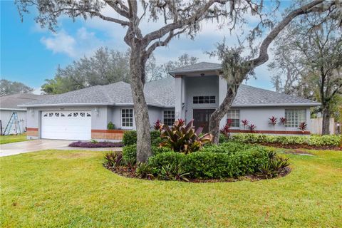 A home in RIVERVIEW