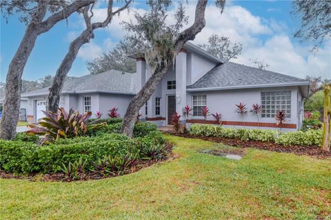 A home in RIVERVIEW