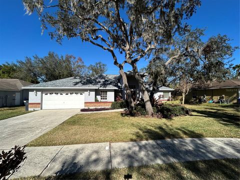 A home in RIVERVIEW