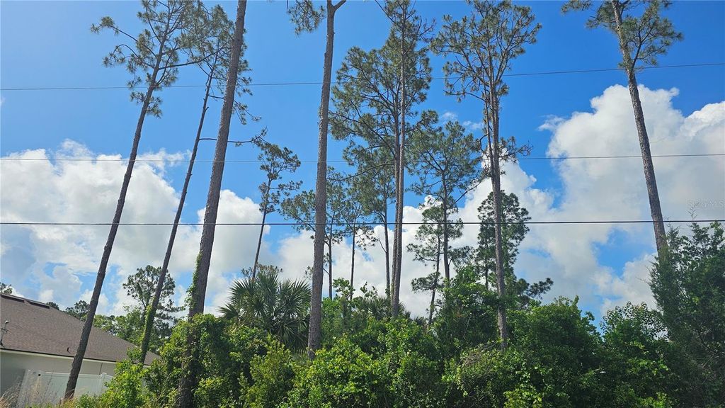 Photo of 13 Robin Hood Lane, Palm Coast, FL 32164 (MLS # FC318389)