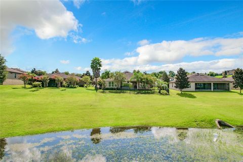 A home in MOUNT DORA