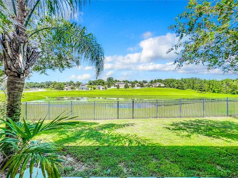 A home in MOUNT DORA