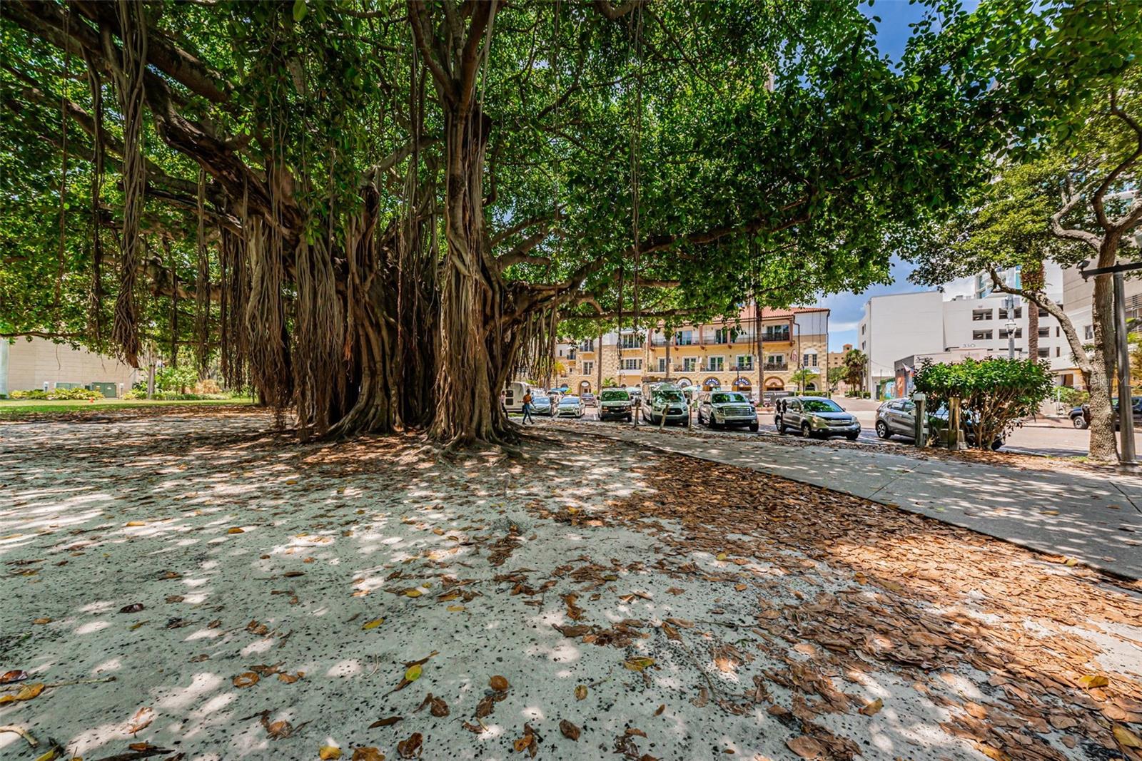 MC NULTY LOFTS CONDO - Residential