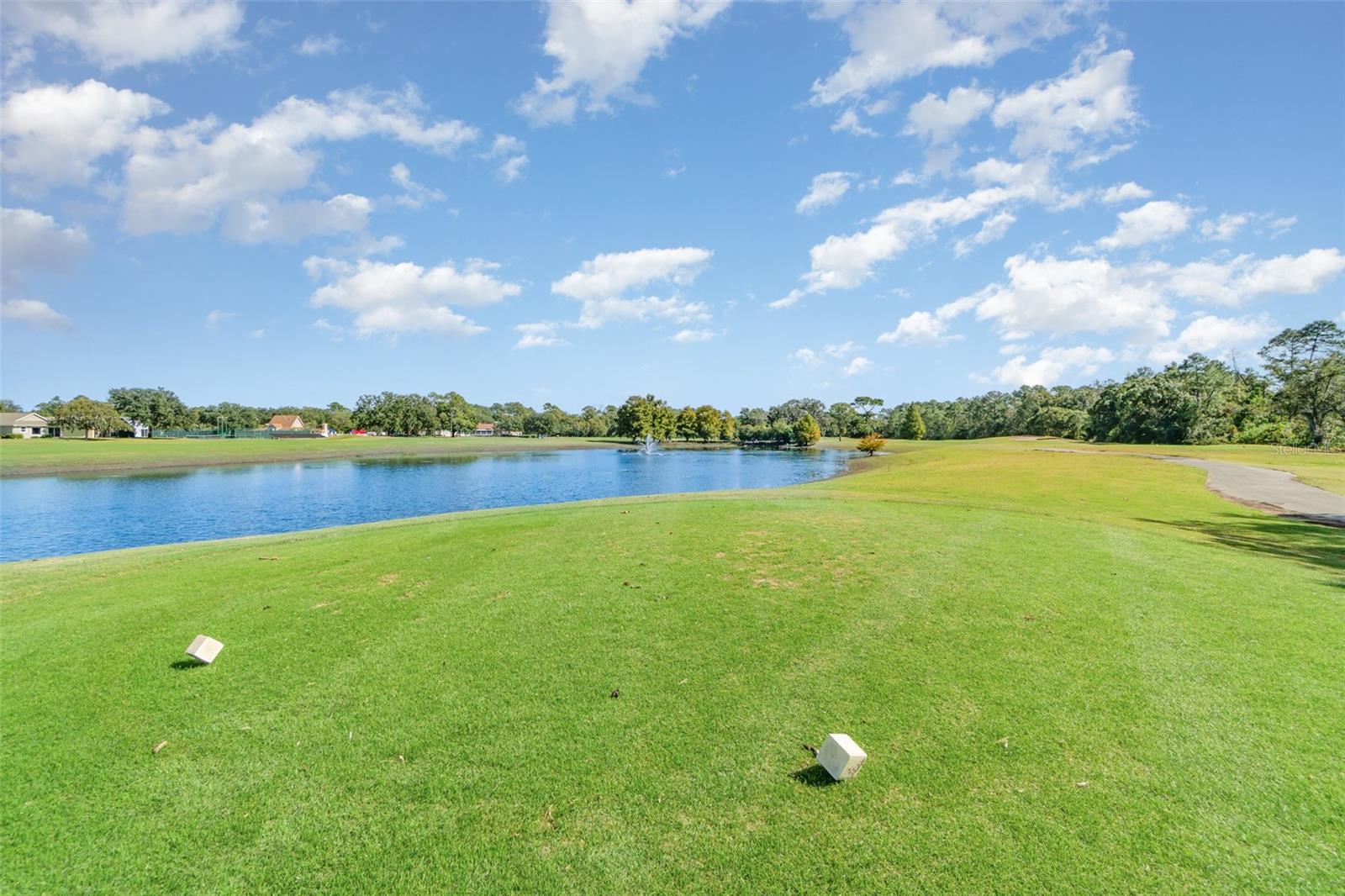 MOUNT DORA COUNTRY CLUB MOUNT DORA UNIT 01 - Residential
