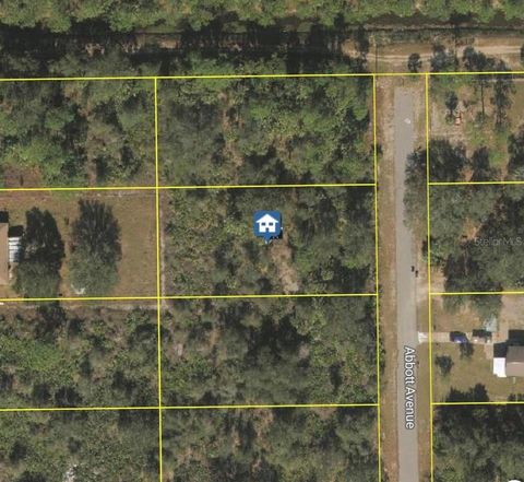2319 ABBOTT AVENUE ALVA FL 33920