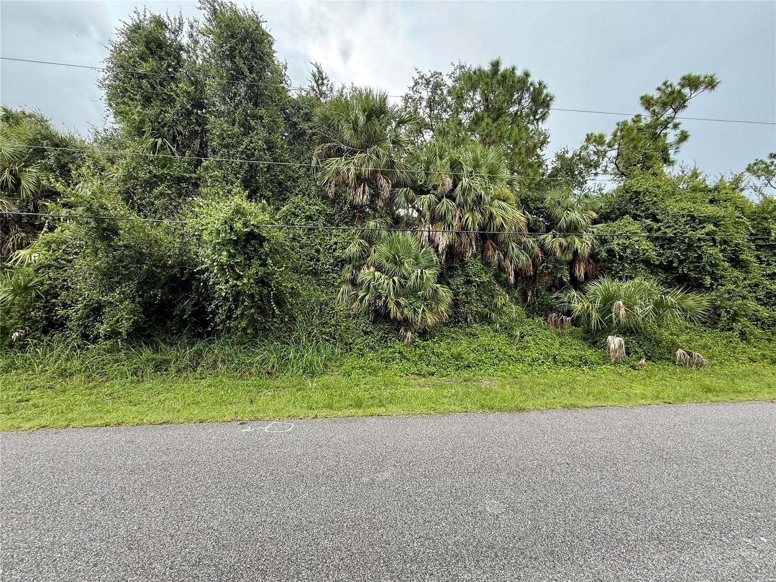 PORT CHARLOTTE SUB 51 - Land