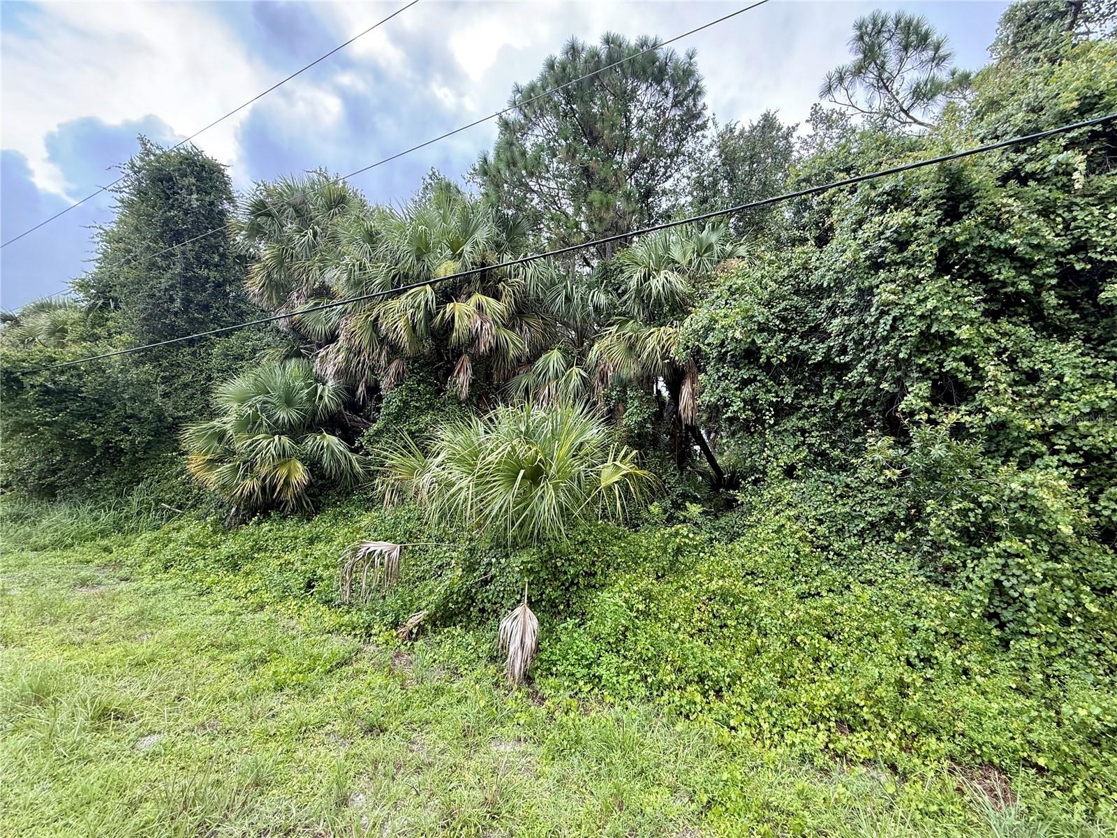 PORT CHARLOTTE SUB 51 - Land