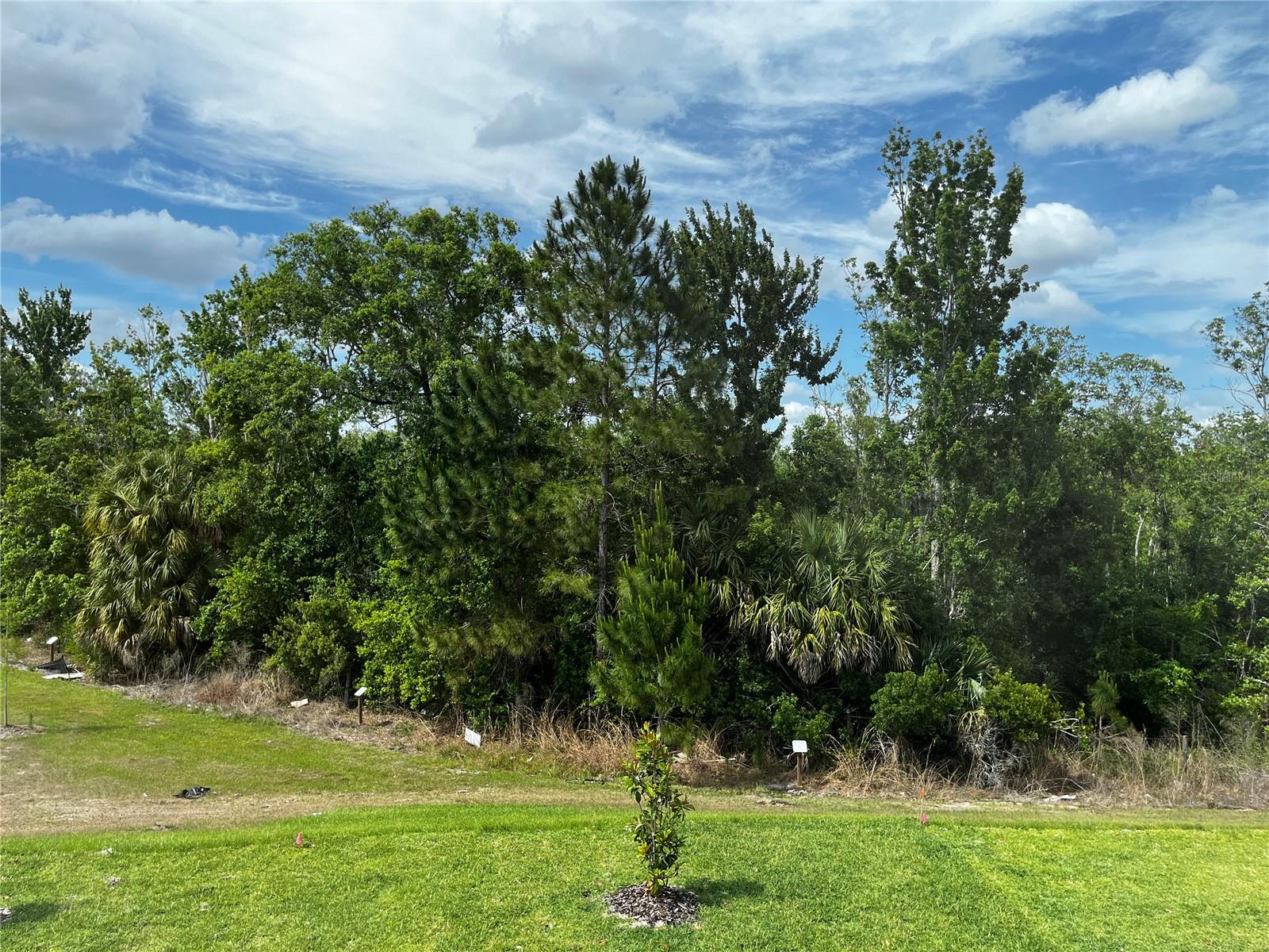 SERENOA LAKES - Residential Lease