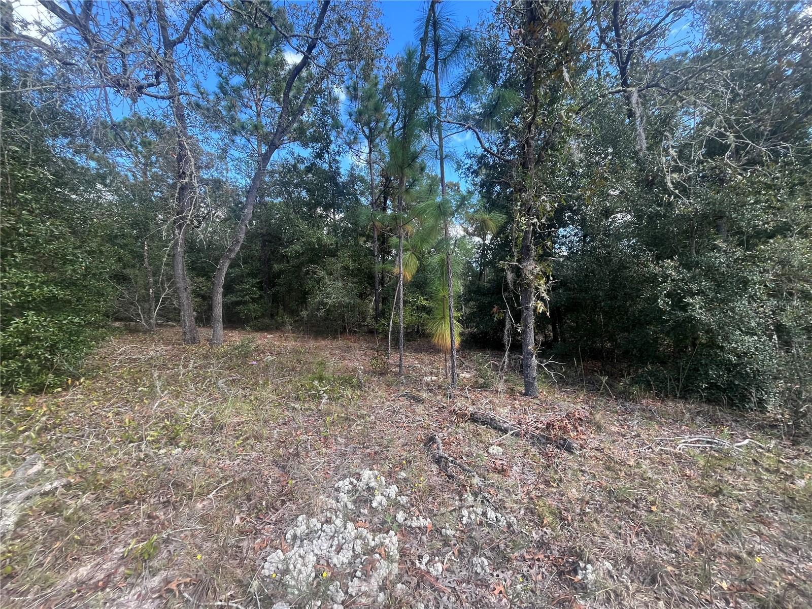 CITRUS SPGS UNIT 27 - Land