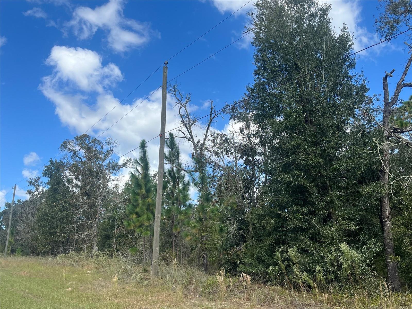 CITRUS SPGS UNIT 27 - Land