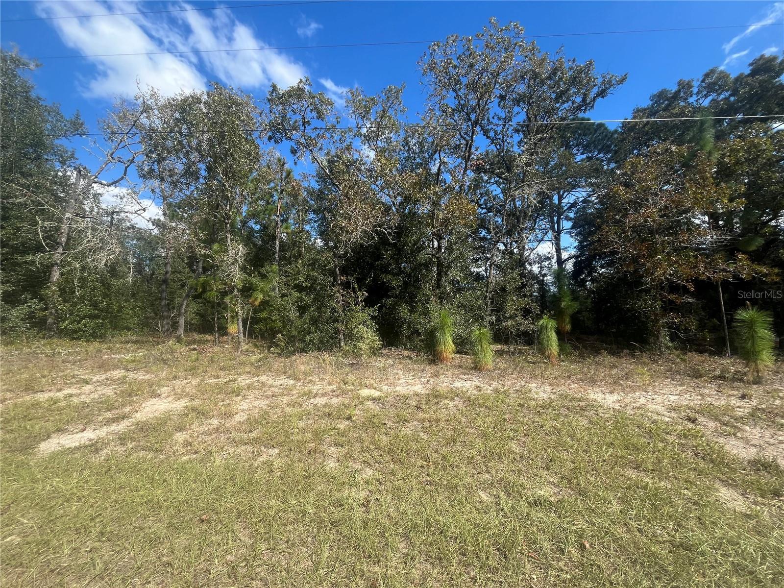 CITRUS SPGS UNIT 27 - Land