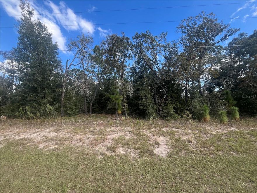 Build your dream home on this beautiful high and dry lot in in desirable Citrus Springs with No HOA or deed restrictions. Bring you RV and boat!  New homes already in the area waiting for your home to be built. Electricity nearby making it easy to access power. One lot off the Withlacoochee trail connector. Quiet neighborhood but minutes from shopping, doctors' office, restaurants and just a short drive to the Suncoast Parkway to be in the big cities like Tampa or St. Pete! The property is minutes from Rainbow Springs State Park where you can swim, snorkel, kayak, hike on nature trails, and bike ride. If you love being near the water, then this is the perfect lot for you. It is a short drive to the Homosassa Springs, and Crystal River!! This property won't last long! Call today to make it your own.