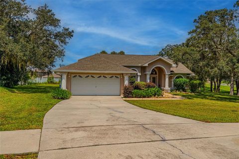 Photo of 63 Forest Wood Court, Spring Hill, FL 34609 (MLS # TB8439244)