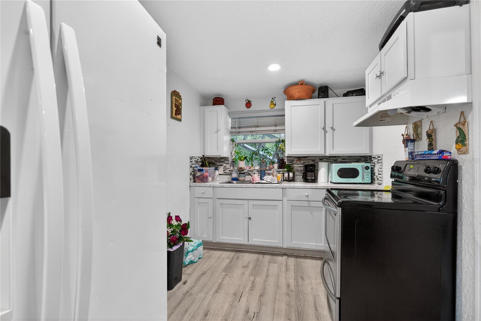 MOUNT DORA - Residential