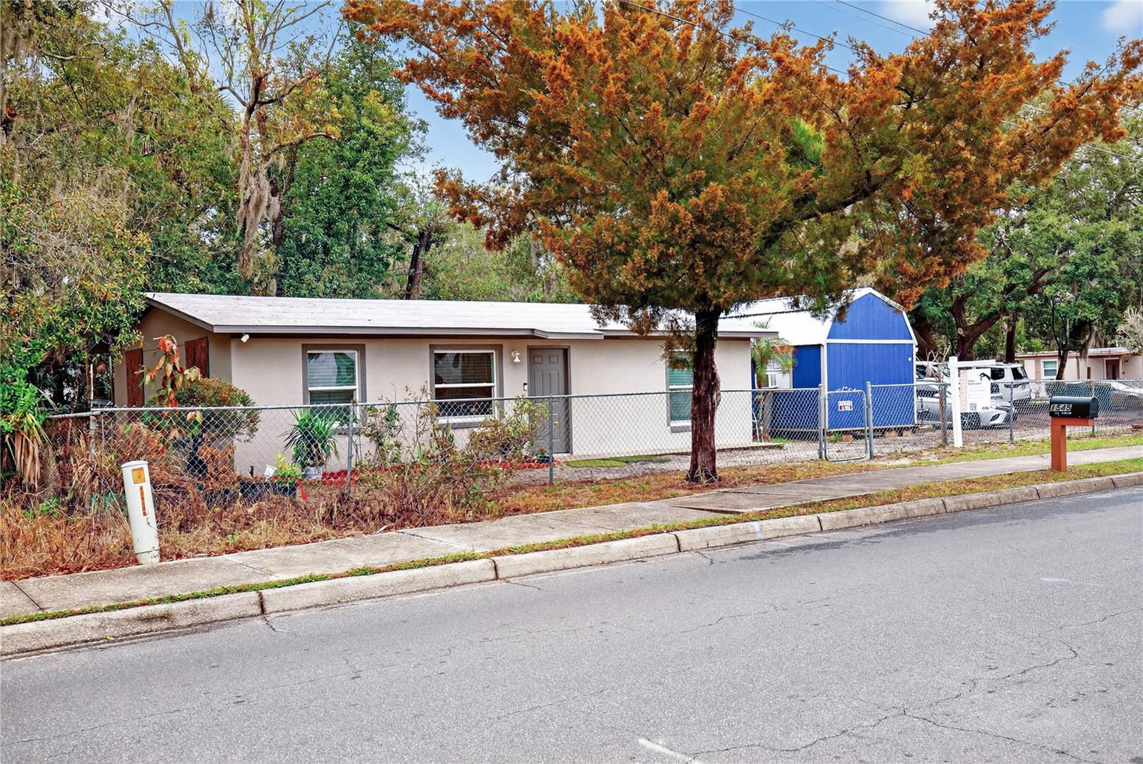 MOUNT DORA - Residential