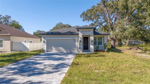 A home in ORLANDO