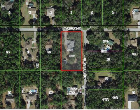 Tiny photo for 1210 E Oriole Court, Hernando, FL 34442 (MLS # TB8489253)