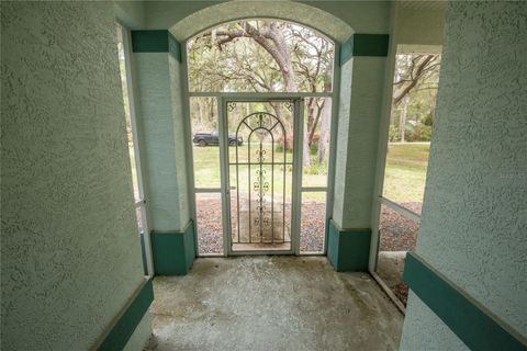 Tiny photo for 1210 E Oriole Court, Hernando, FL 34442 (MLS # TB8489253)