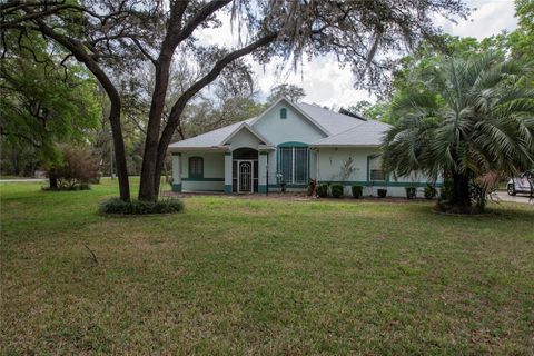 Photo of 1210 E Oriole Court, Hernando, FL 34442 (MLS # TB8489253)
