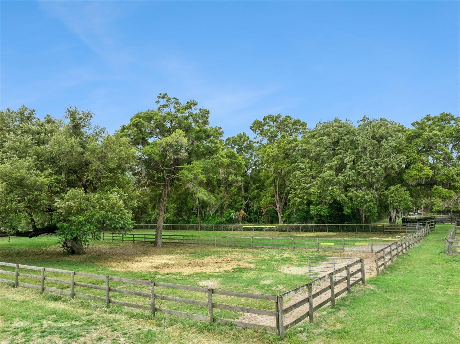 WILLISTON HIGHLANDS - Residential