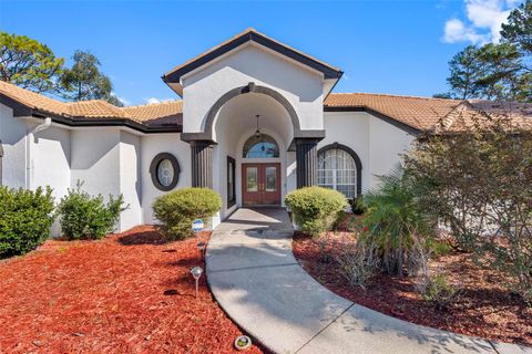 Photo of 9336 Tooke Shore Drive, Weeki Wachee, FL 34613 (MLS # TB8457352)