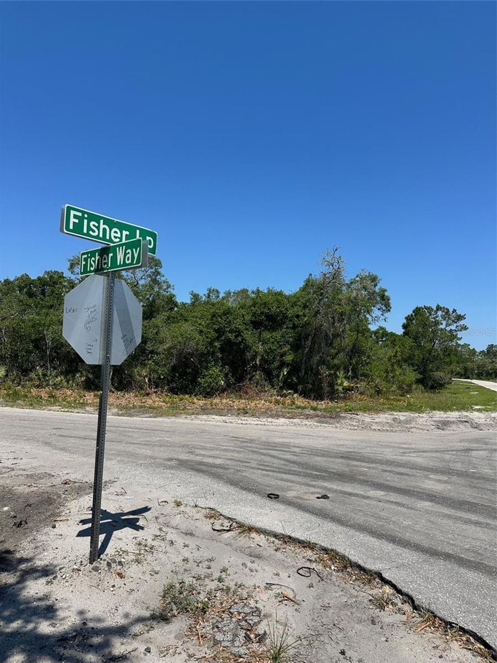 Photo of Tbd Fisher Way, Ocklawaha, FL 32179 (MLS # O6306511)