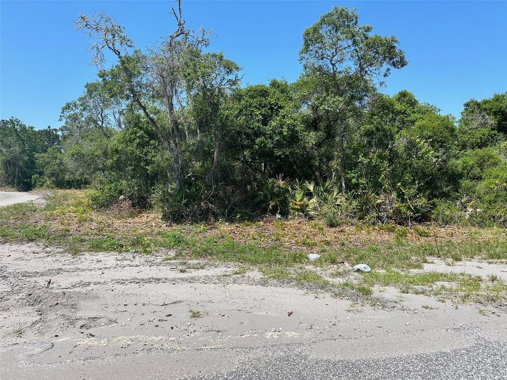 Photo of Tbd Fisher Way, Ocklawaha, FL 32179 (MLS # O6306511)