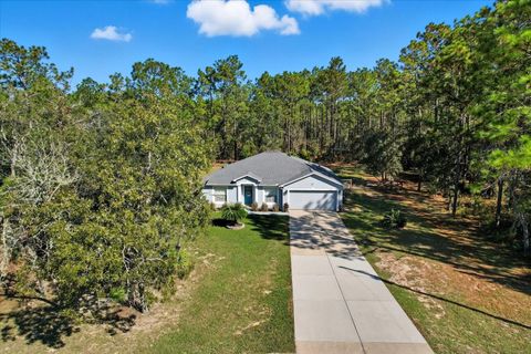 Photo of 13345 SW 71st Lane, Ocala, FL 34481 (MLS # OM711591)