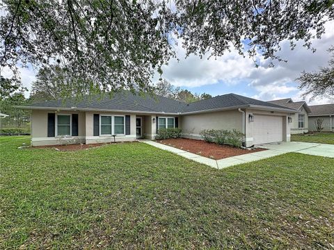 Photo of 31249 Satinleaf Run, Brooksville, FL 34602 (MLS # S5146898)