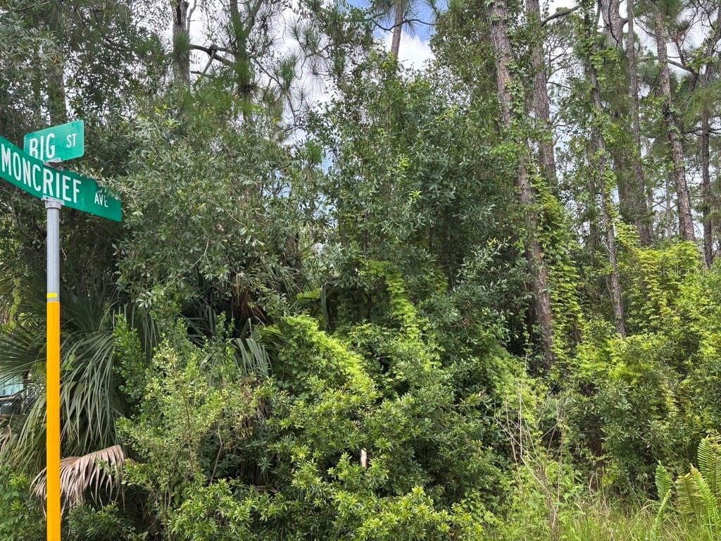 Photo of 1135 Moncrief Blk 50 Avenue, North Port, FL 34286 (MLS # TB8412789)