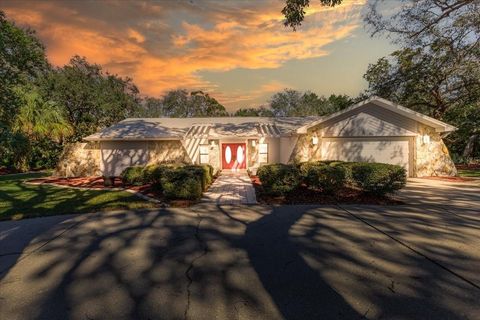 A home in SPRING HILL