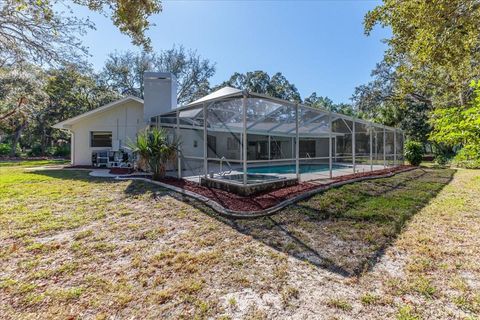 A home in SPRING HILL