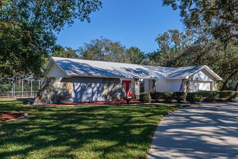 A home in SPRING HILL