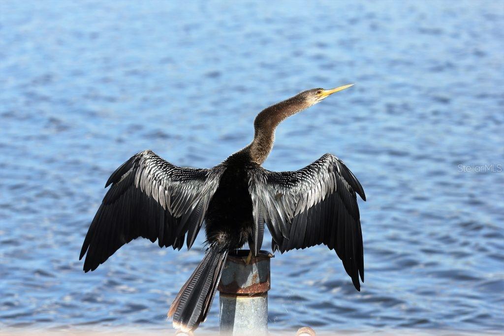 TSALA APOPKA RETREATS - Residential