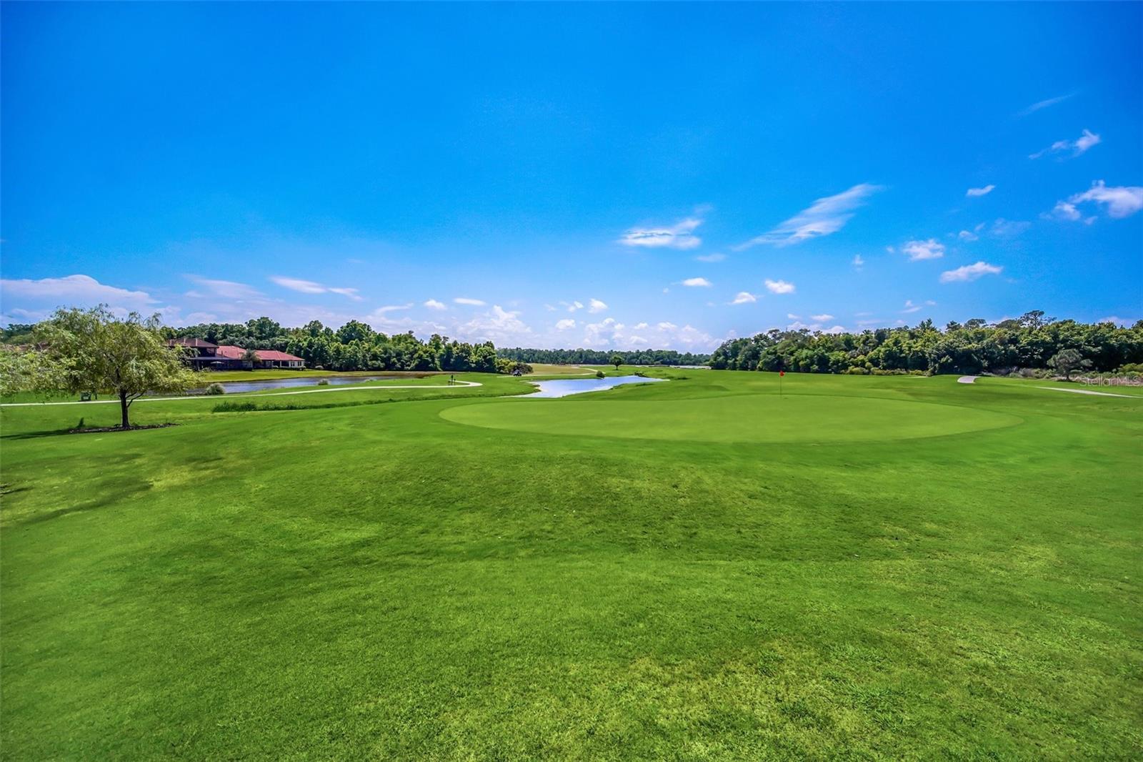 CHELSEA WOODS AT PROVIDENCE - Residential