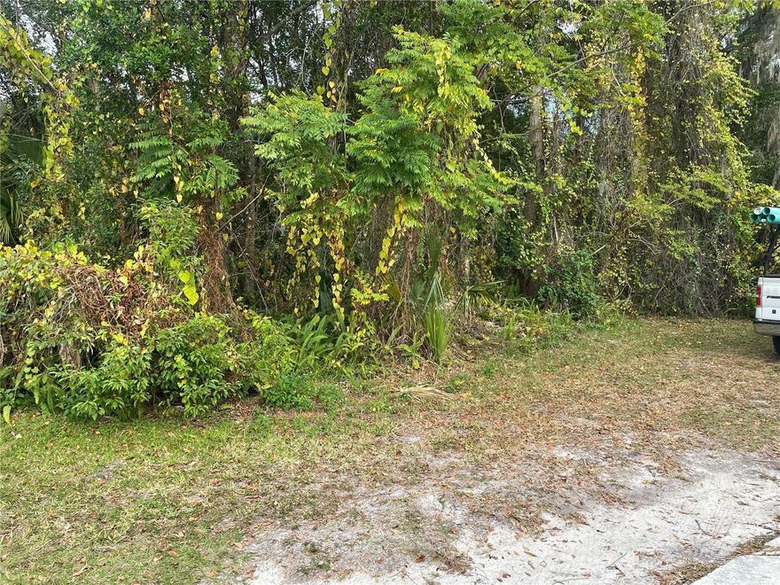 This is a rare opportunity to acquire an adjoining lot, offering the potential to combine both properties for a unique investment or development opportunity. The location is ideal—just about 10 minutes from downtown DeLand, with convenient access to university, restaurants, shops, and local amenities. This is a must-see property.