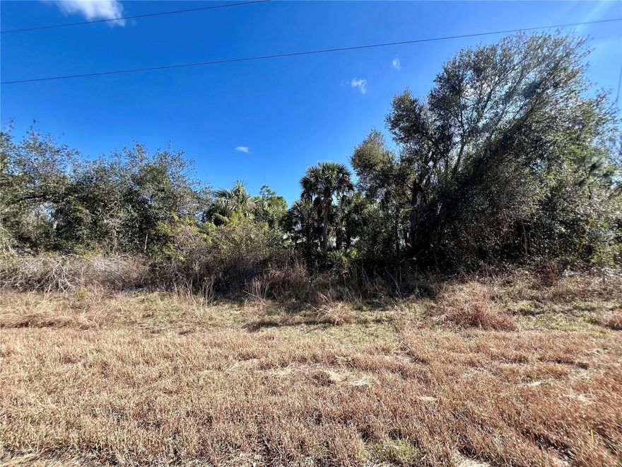 Nice lot in a developing area of North Port. Electricity is in the area.