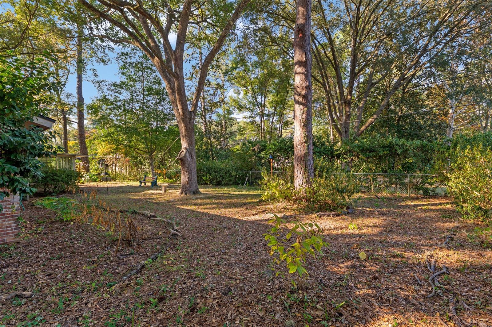 BLACK ACRES - Residential