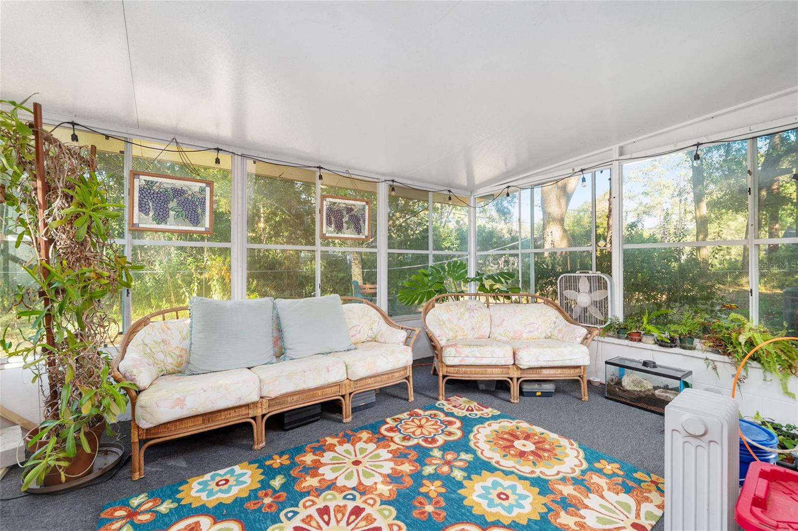 BLACK ACRES - Residential