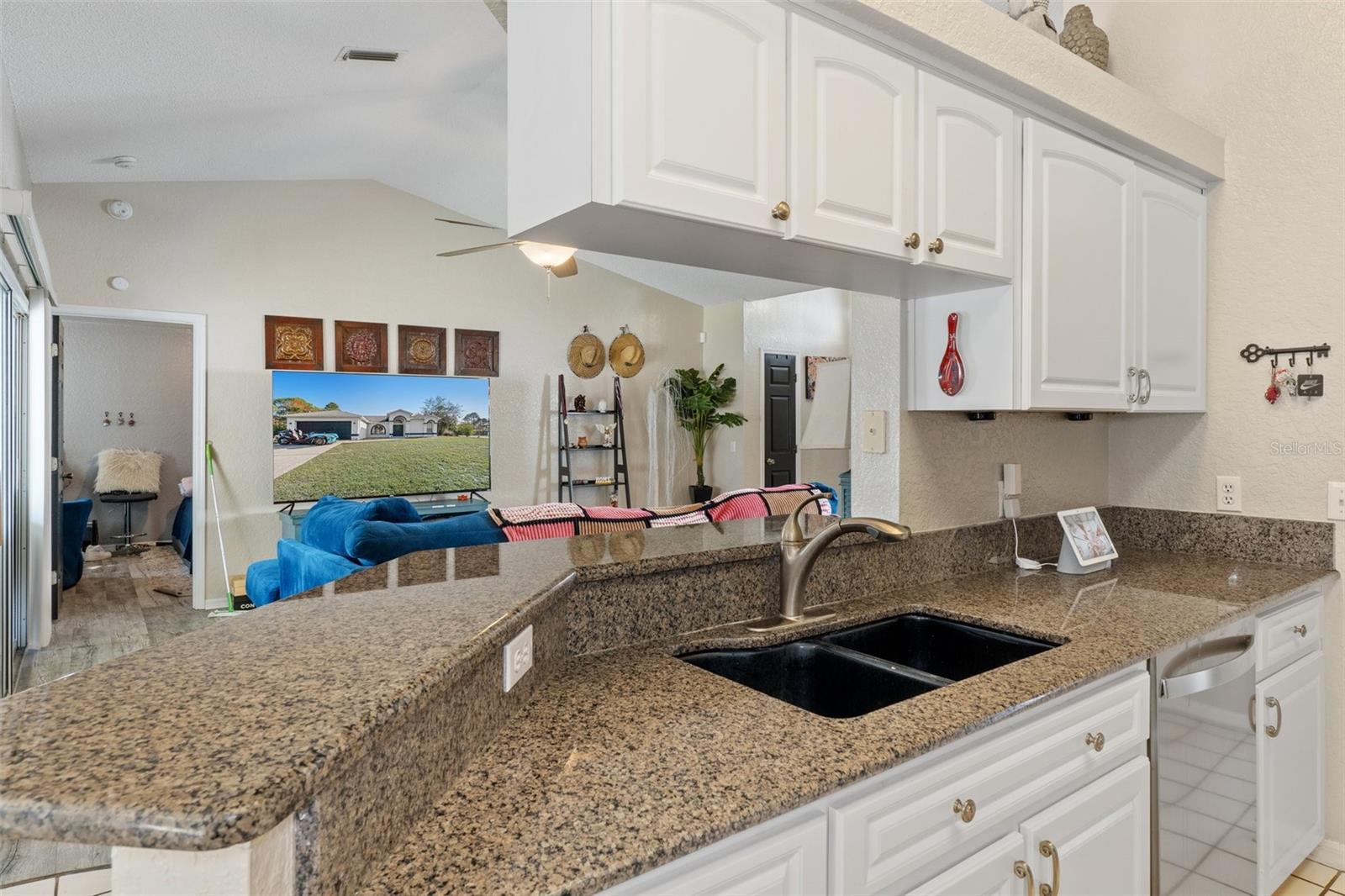SPRING HILL - Residential