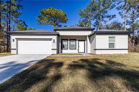 Photo of 9333 N Samoa Way, Citrus Springs, FL 34433 (MLS # G5108762)