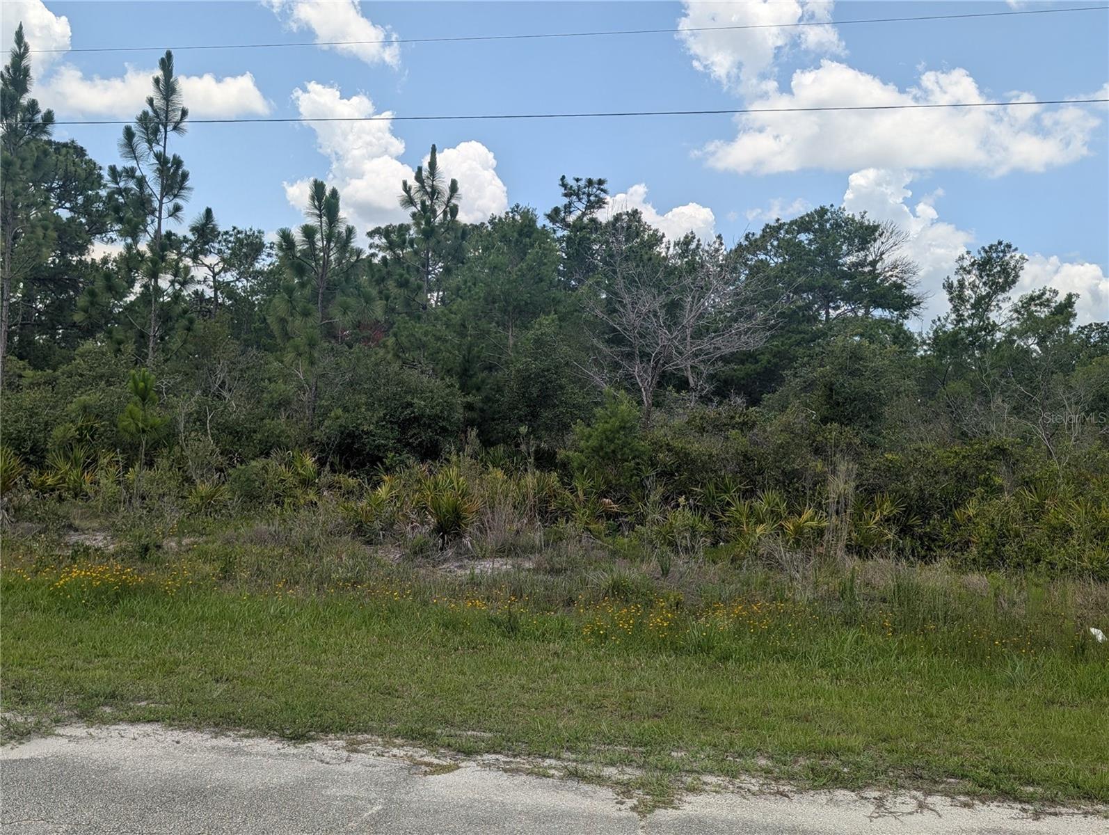 CORAL GABLES DRIVE