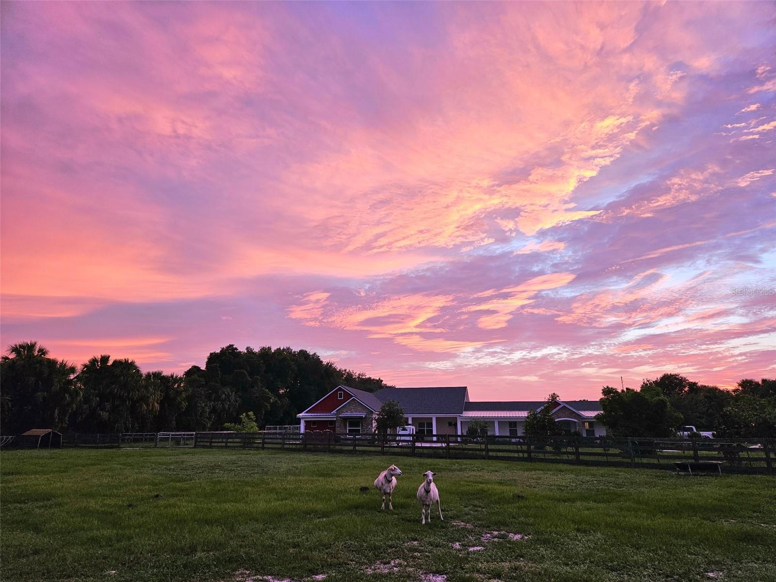 NO SUBDIVISION - Residential