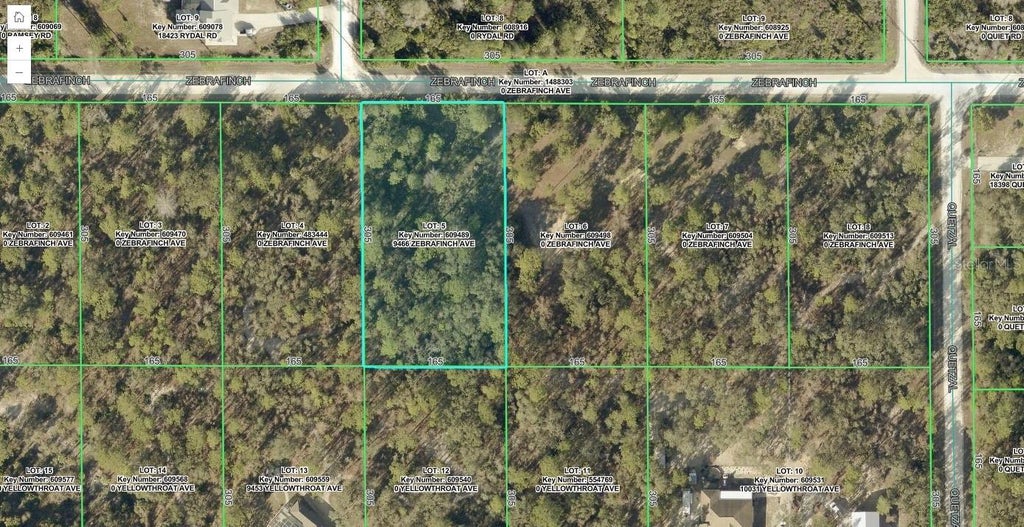 Photo of 9466 Zebrafinch Avenue, Weeki Wachee, FL 34614 (MLS # TB8557738)